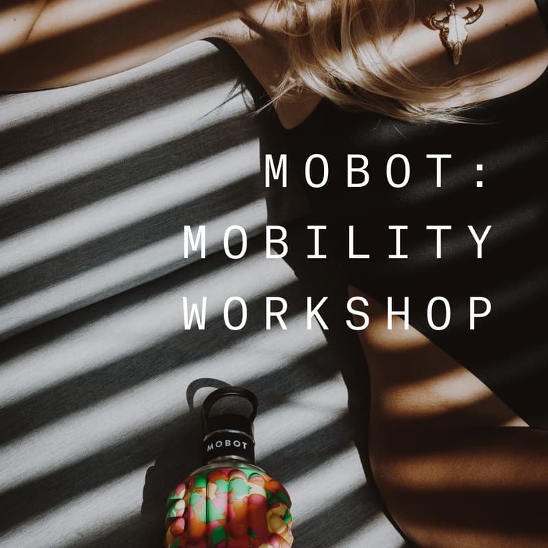 Cover Image for Mobot: Mobility Workshop