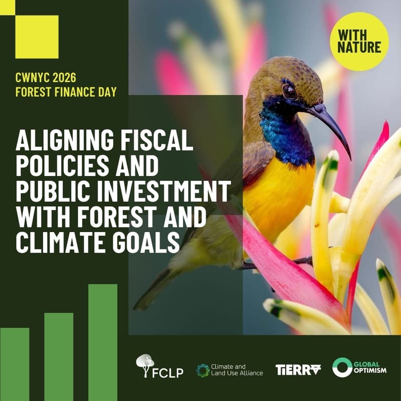 Cover Image for Aligning Fiscal Policies and Public Investment with Forest and Climate Goals