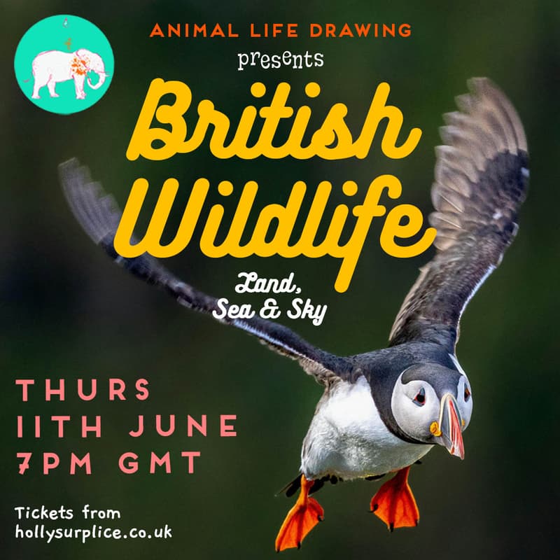 Cover Image for British Wildlife - Land, Sea & Sky