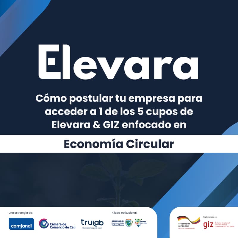 Cover Image for Webinar de Elevara + GIZ