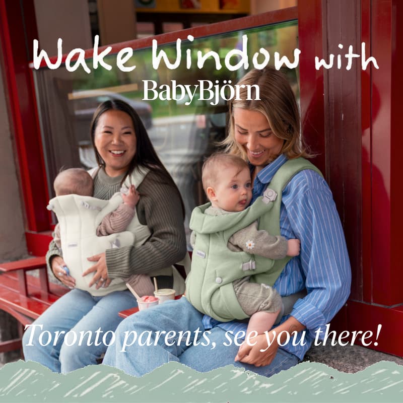 Cover Image for Wake Window with BabyBjörn