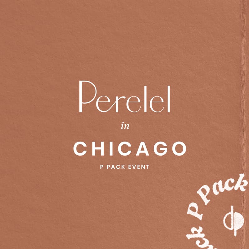 Cover Image for Chicago: Stroller Walk