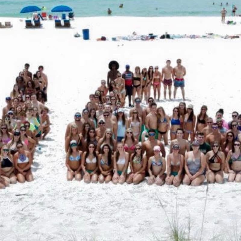 Cover Image for Mosley High School C/O 2016 Reunion