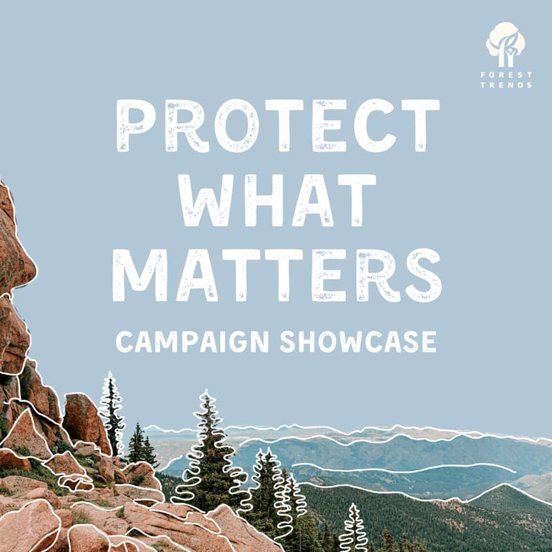 Cover Image for Protect What Matters: Campaign Showcase