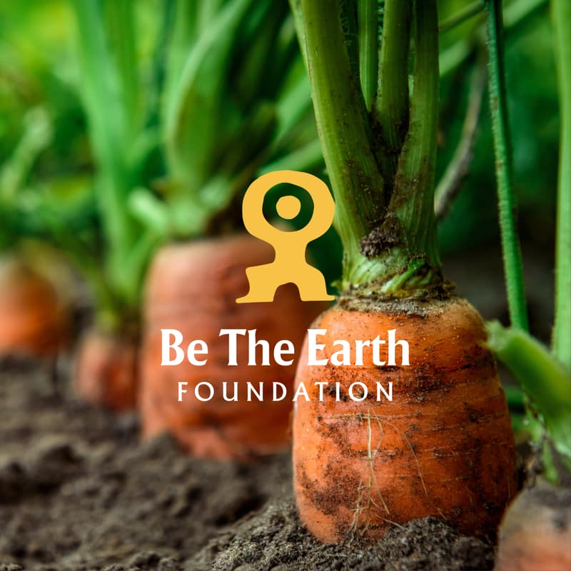 Cover Image for Food as an Act of Care - Seasonal Talk III
