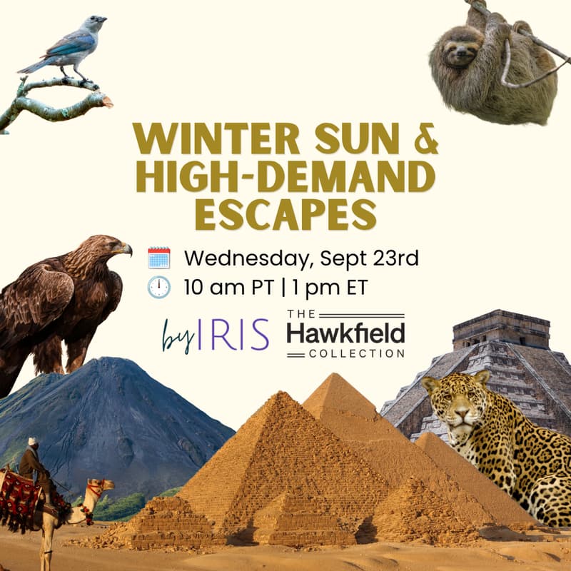 Cover Image for By Iris x The Hawkfield Collection: Winter Sun & High-Demand Escapes