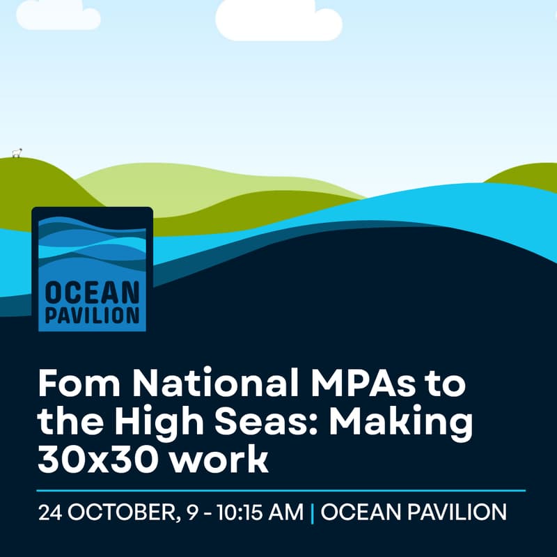 Cover Image for From National MPAs to the High Seas: Making 30x30 Work