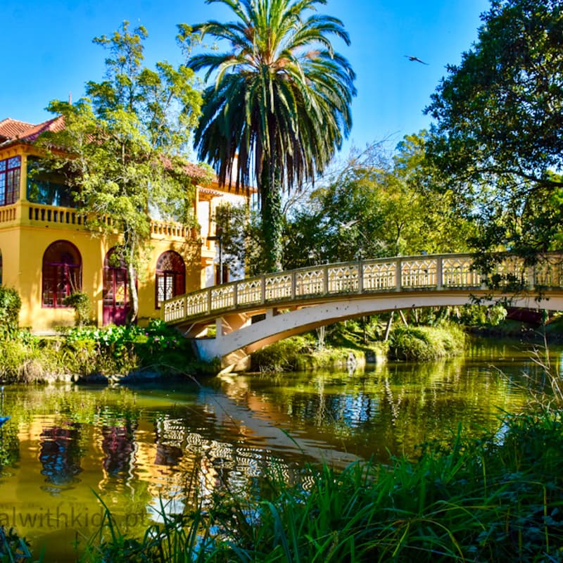 Cover Image for Passeio Parque Da Cidade - Aveiro