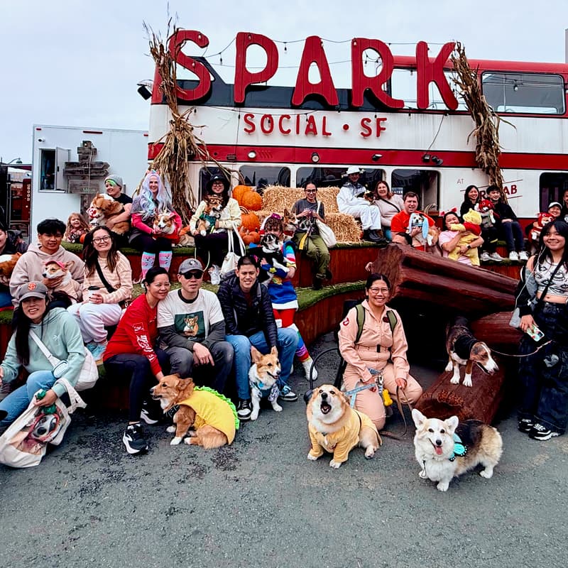 Cover Image for Howloween at Spark Meetup