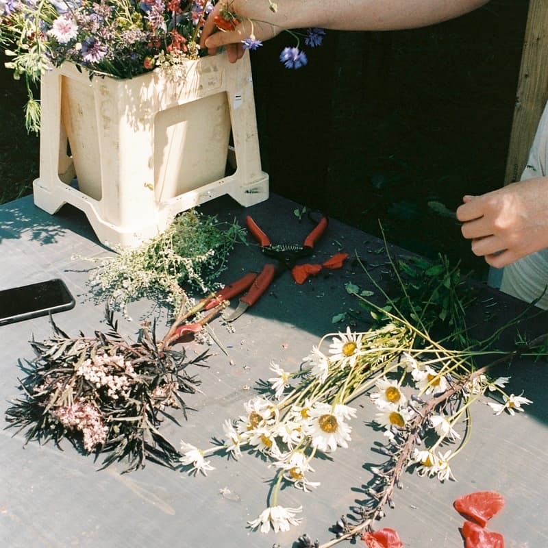 Cover Image for Kerzengießen mit UpCandle – Duft, Handwerk & Aromatherapie | Auf dem Feld