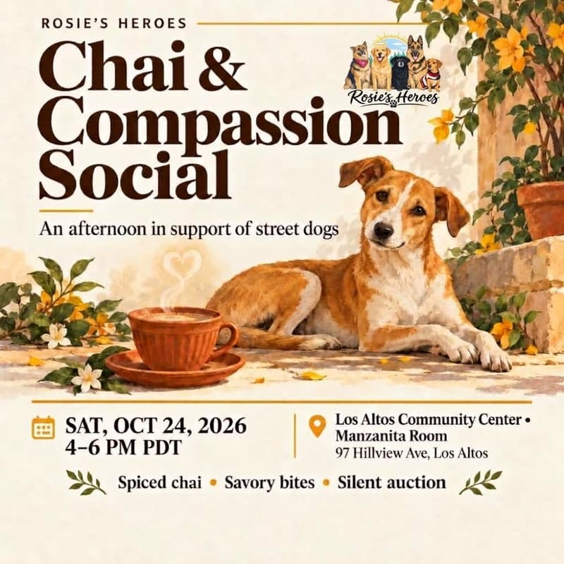 Cover Image for Chai & Compassion Social