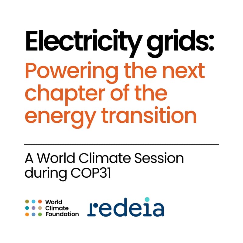 Cover Image for Electricity grids: Powering the next chapter of the energy transition