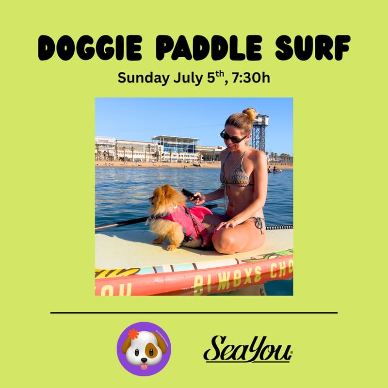 Cover Image for DOGGIE PADDLE SURF