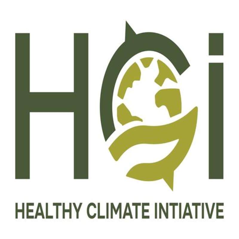 Cover Image for A Global South Strategy Roundtable on Near-Term Climate Risk
