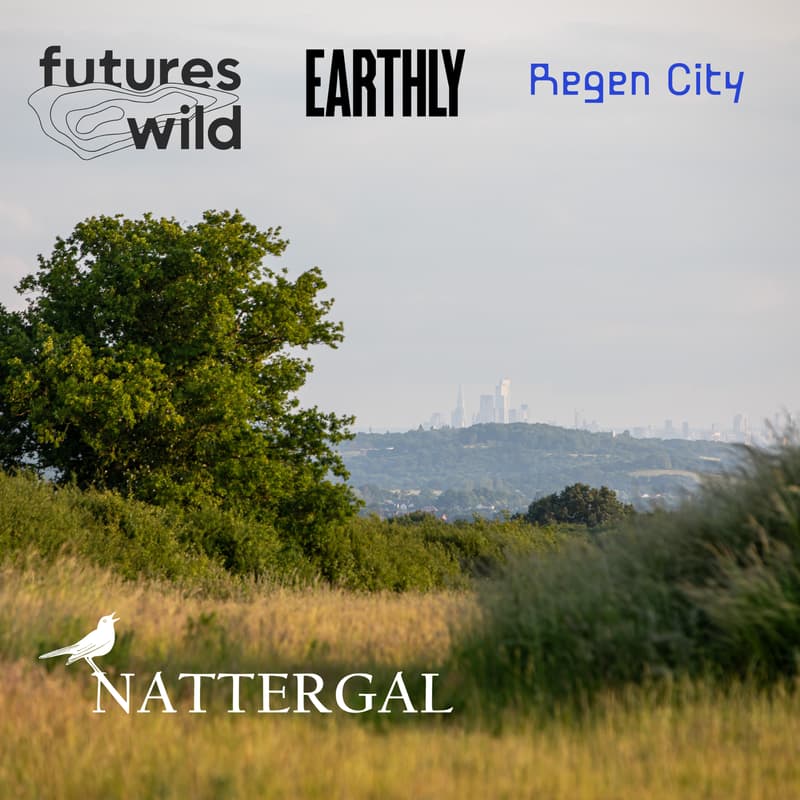 Cover Image for FuturesWild x Earthly x Regen City - London Climate Action Week Rewilding Tour & BBQ - 2.30pm to 8pm