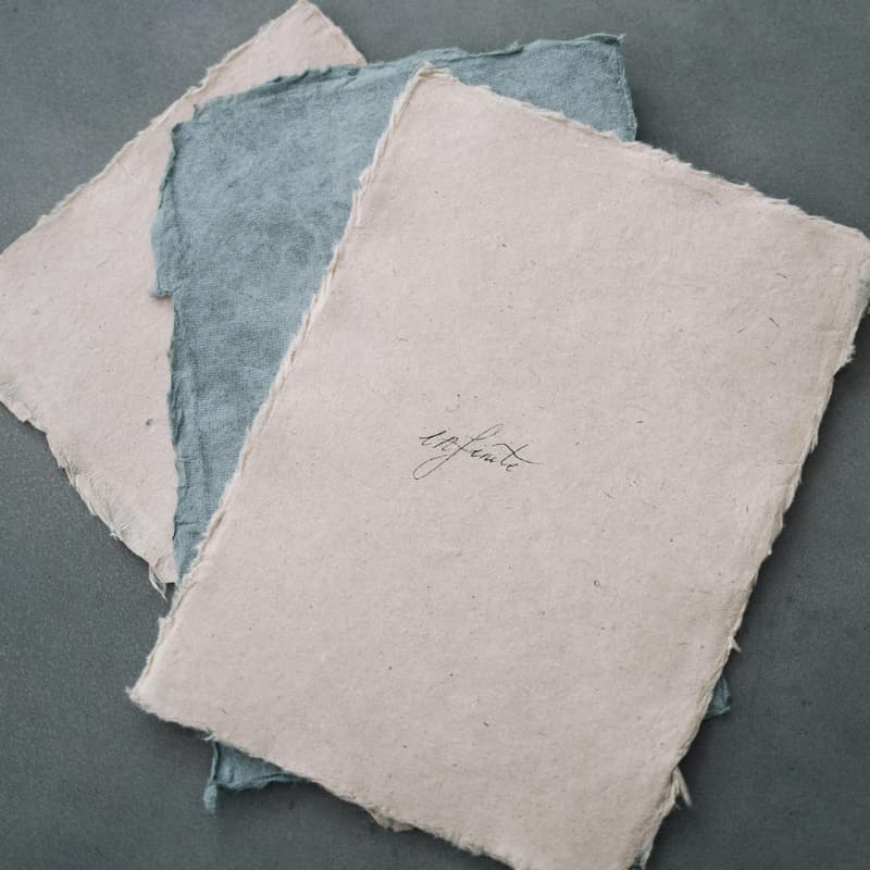 Cover Image for All Ages Event: Papermaking with Indoor Recess