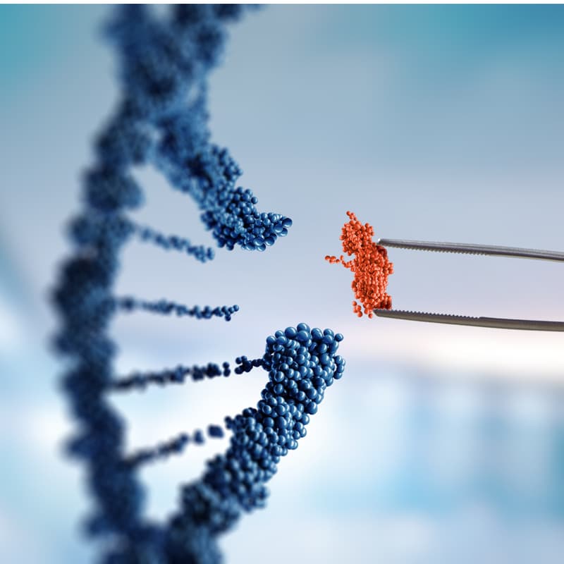 Cover Image for EY German Biotech Report Roadshow