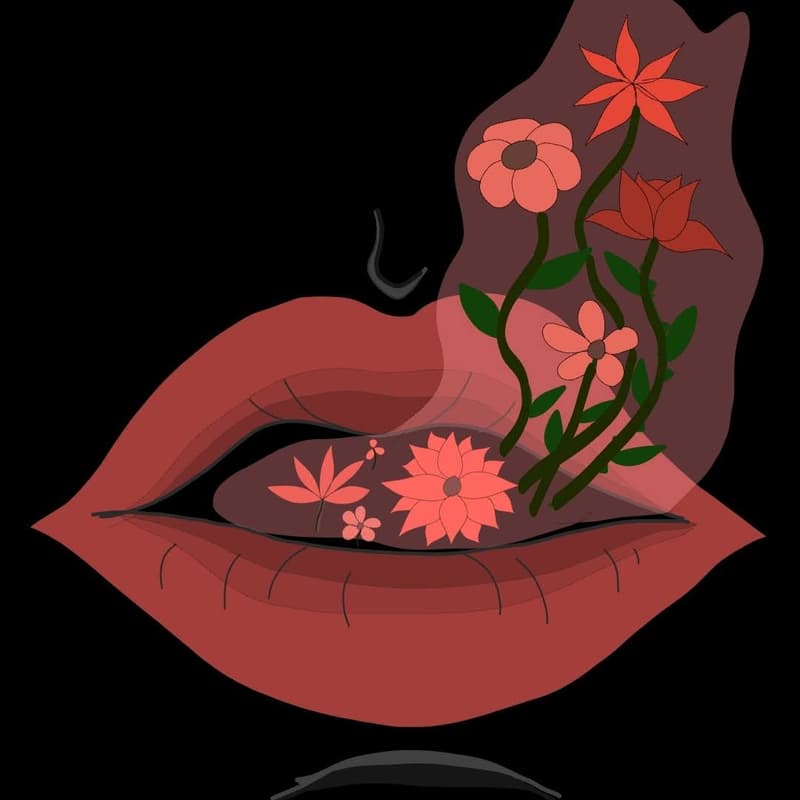 Cover Image for Fake Butterflies: Single Launch
