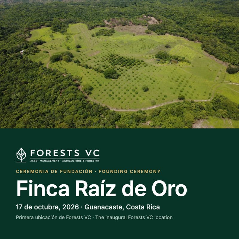 Cover Image for Finca Raíz de Oro — Ceremonia de Fundación / Founding Ceremony