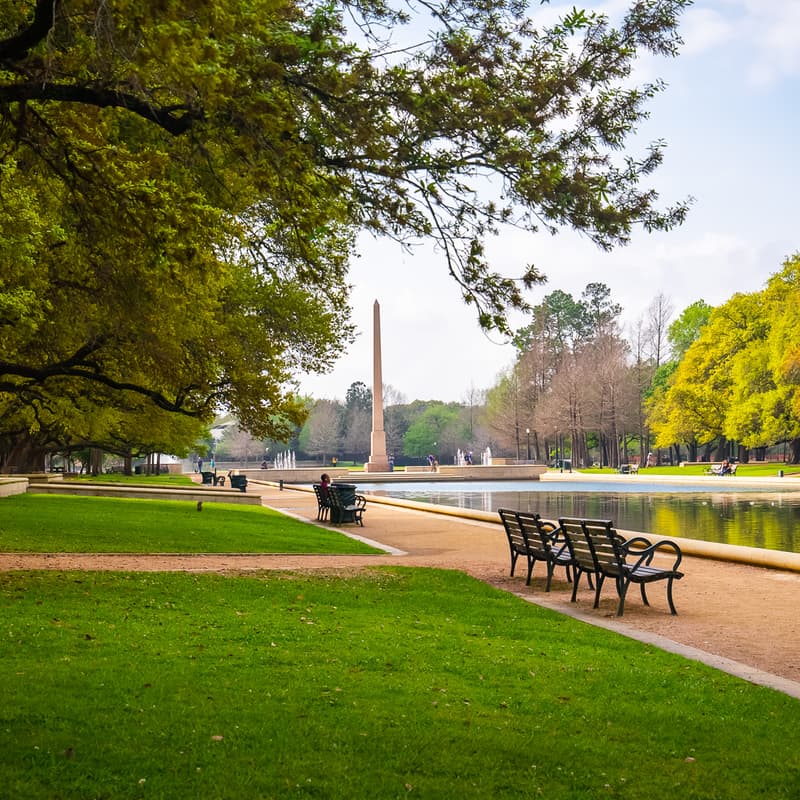 Cover Image for Panel at the Park
