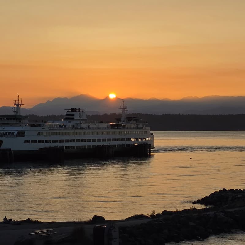 Cover Image for Sunset Society: The Last Golden Hour
