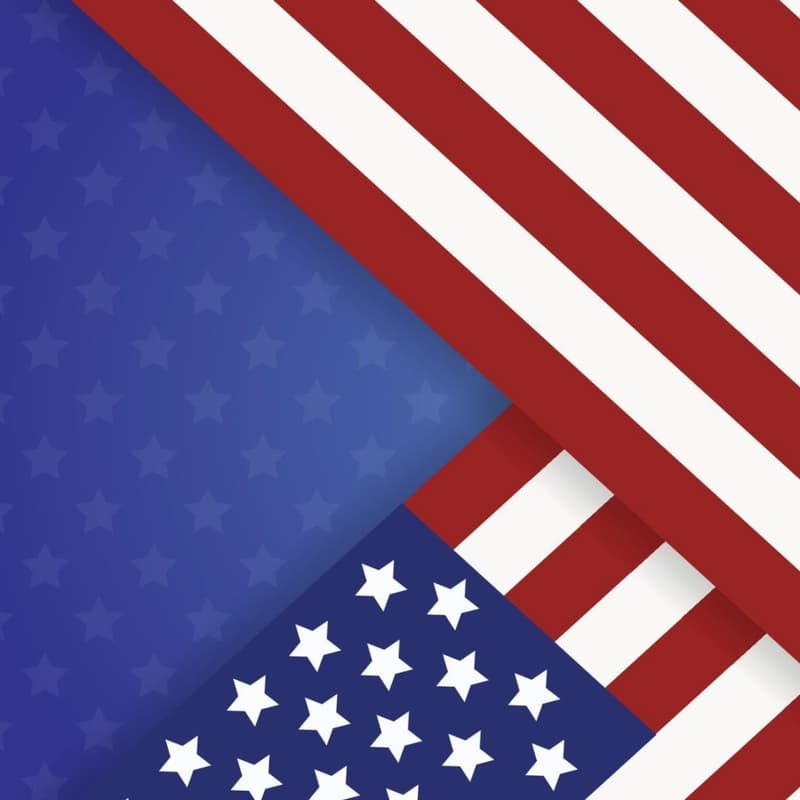 Cover Image for The American Midterm Elections, and What They Mean for AI Safety