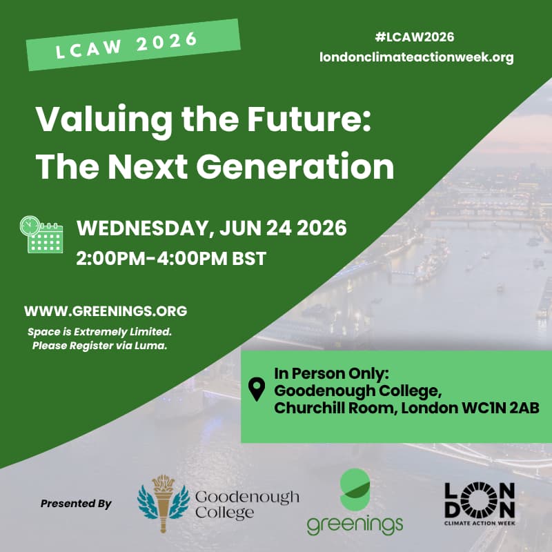 Cover Image for Valuing the Future: The Next Generation
