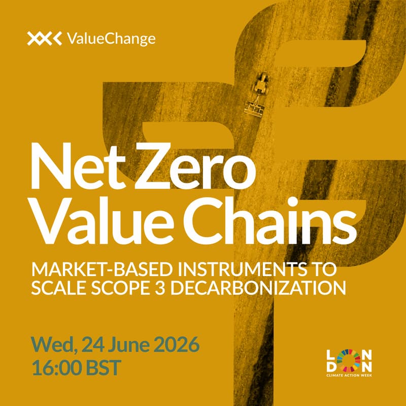 Cover Image for Net Zero Value Chains - Market-Based Instruments to Scale Scope 3 Decarbonization