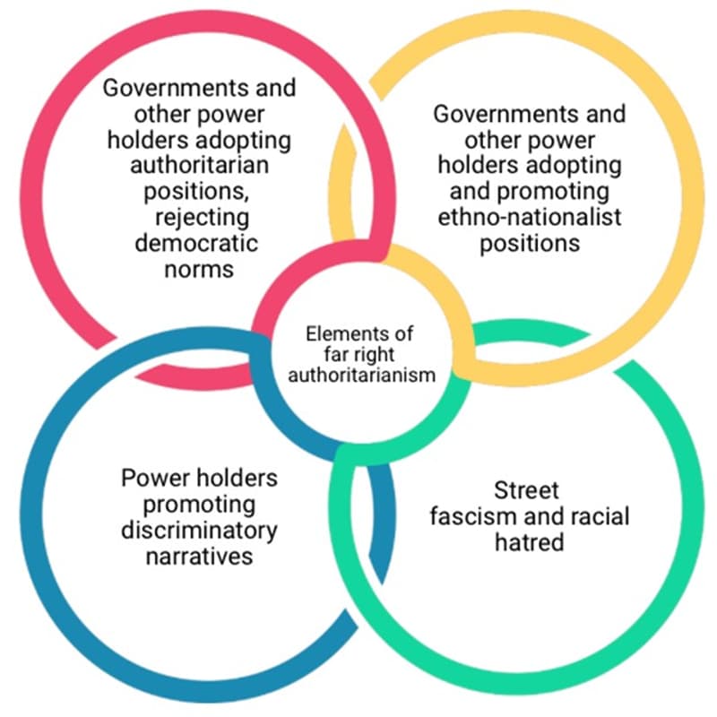 Cover Image for Towards meaningful action - NGOs’ responses to threats from far-right authoritarianism