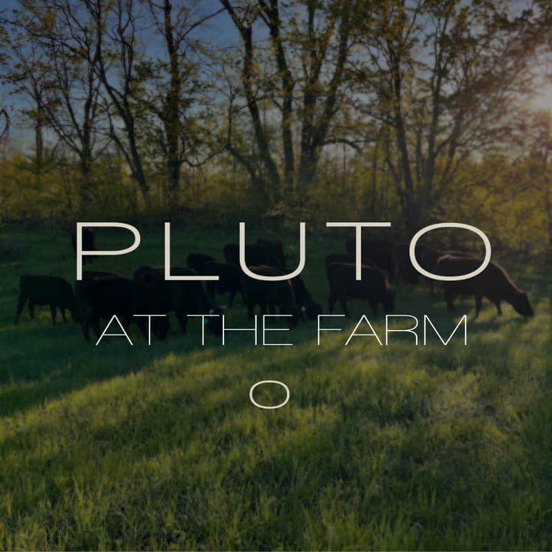 Cover Image for Pluto x Merkaba Acres: A Day at the Farm