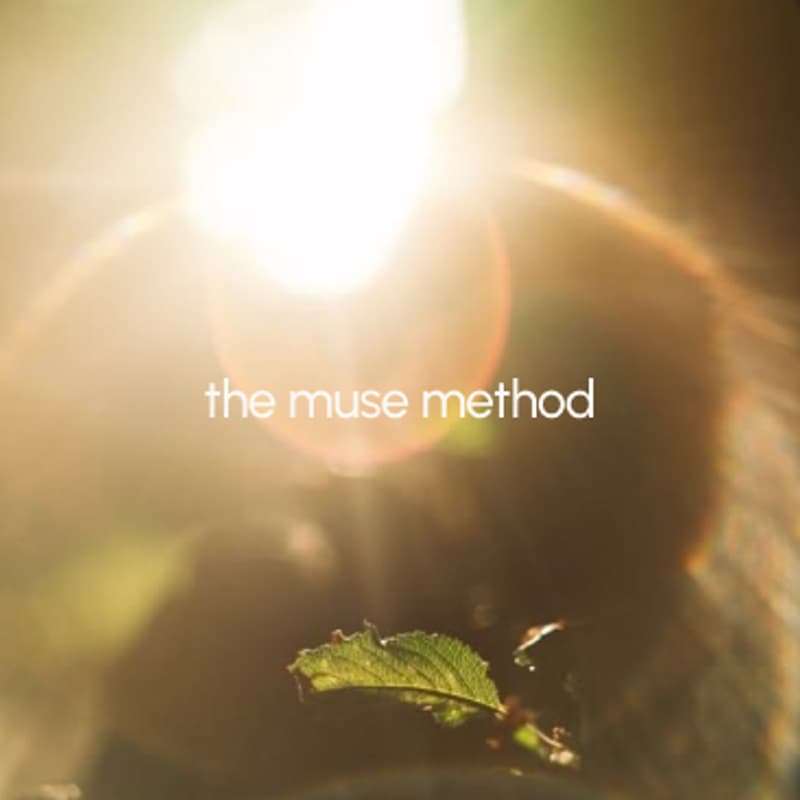 Cover Image for the muse method: the art of feminine magnetism