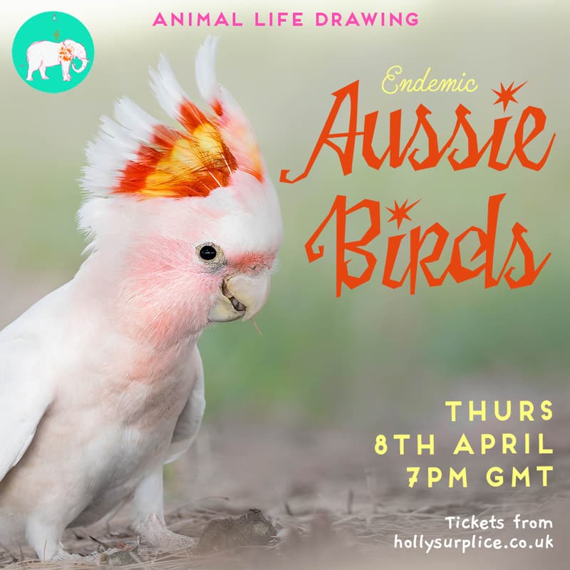 Cover Image for Endemic Aussie Birds