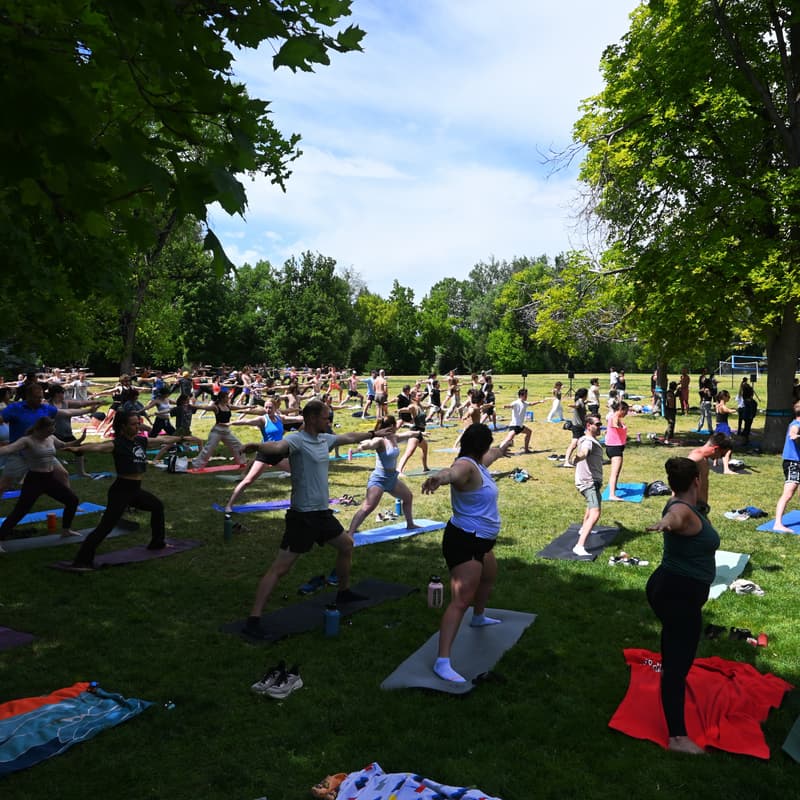 Cover Image for yoga at the park