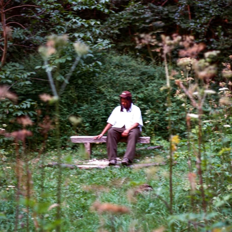 Cover Image for Do You Really Yearn ? with NuAloe