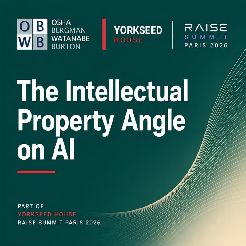 Cover Image for The Intellectual Property Angle on AI - Yorkseed House