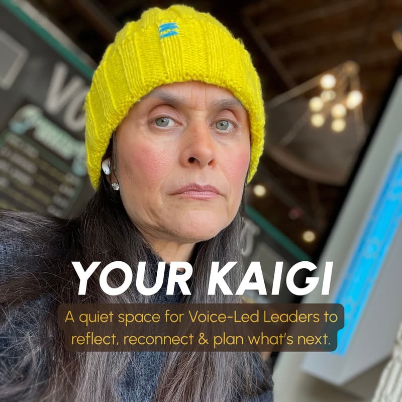 Cover Image for Your Kaigi: Look Back, Meet Yourself, Make Room