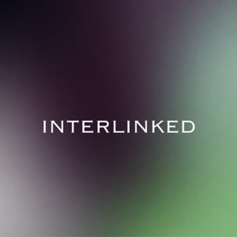 Cover Image for Interlinked Riga