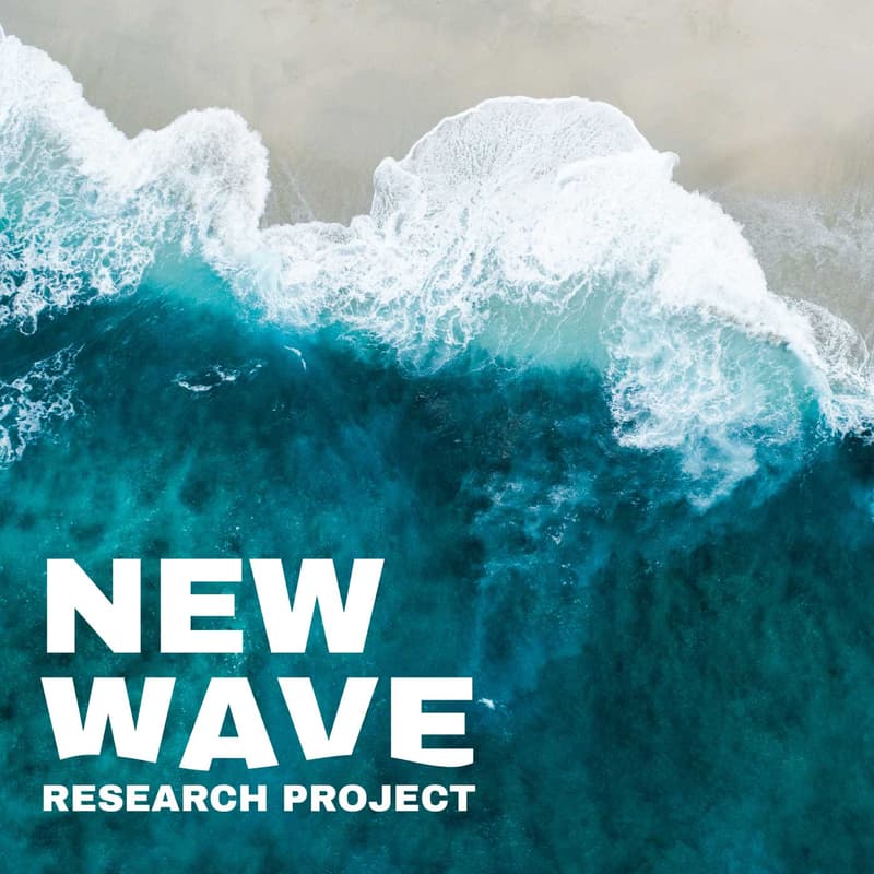 Cover Image for New Wave Successes & Struggles