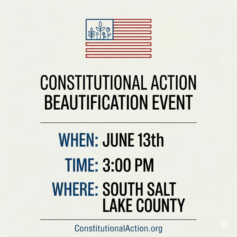 Cover Image for Constitutional Action Neighborhood Cleanup