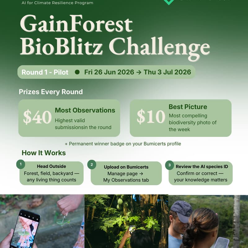 Cover Image for GainForest BioBlitz Challenge - Round 1