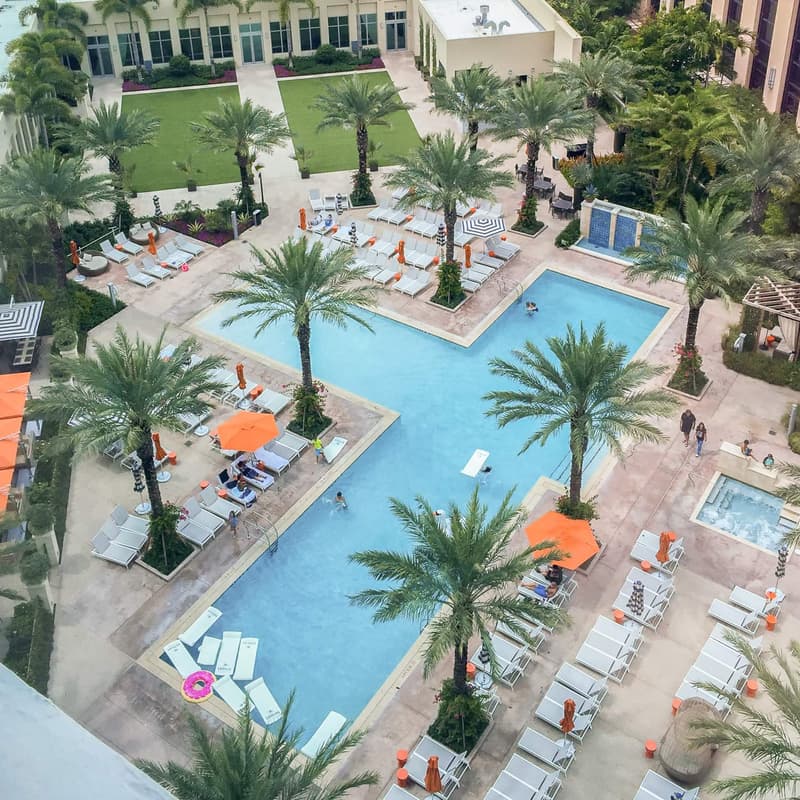 Cover Image for Conscious Palm Beach IRL