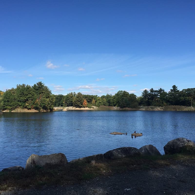 Cover Image for Middlesex Fells HIKE