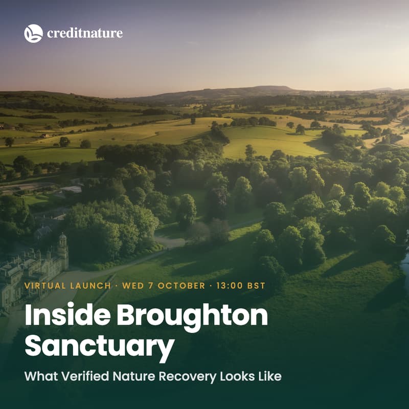 Cover Image for Inside Broughton Sanctuary: What Credible Nature Recovery Looks Like