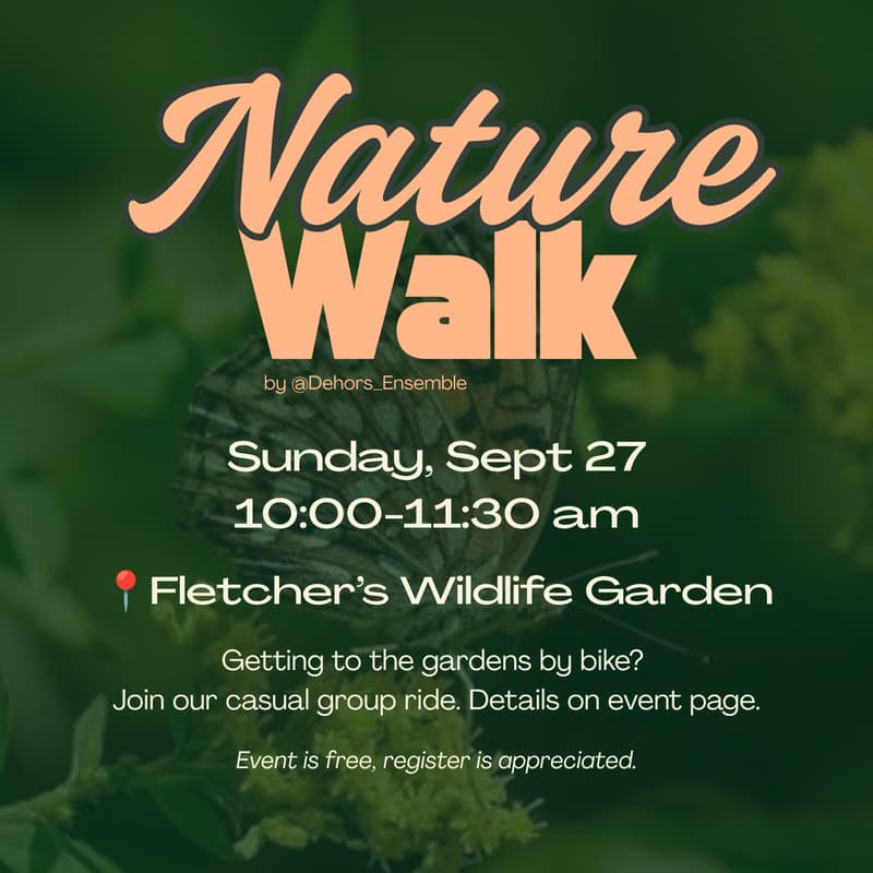 Cover Image for Fall Wander: Nature walk 🌻