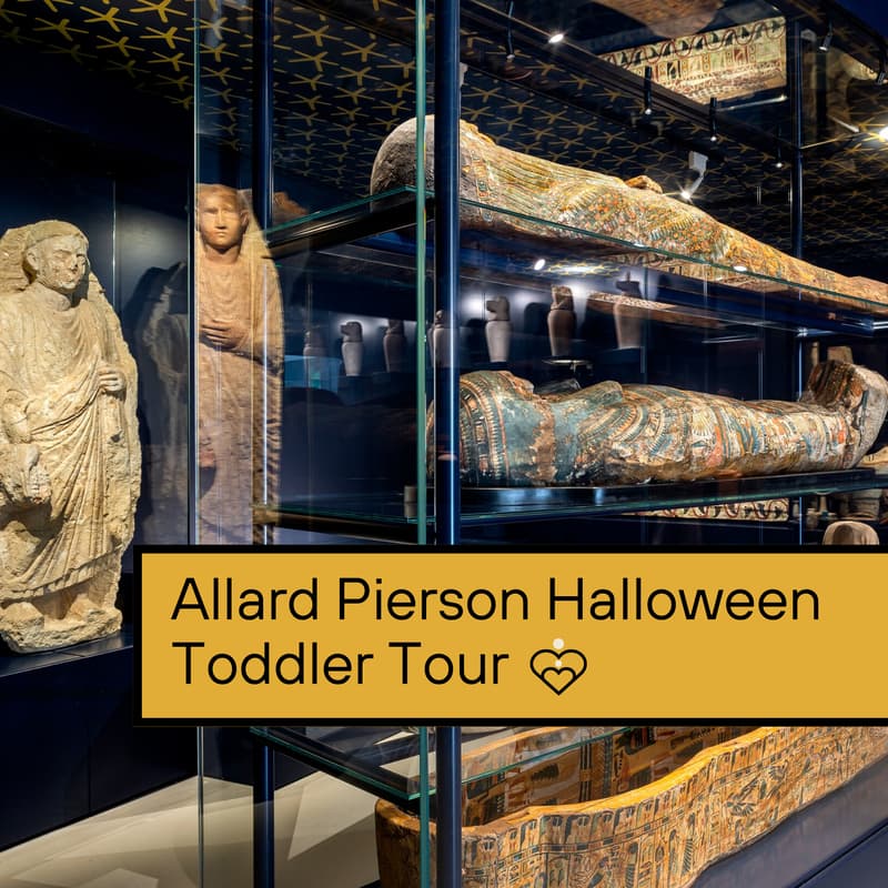 Cover Image for Allard Pierson Halloween Toddler Tour