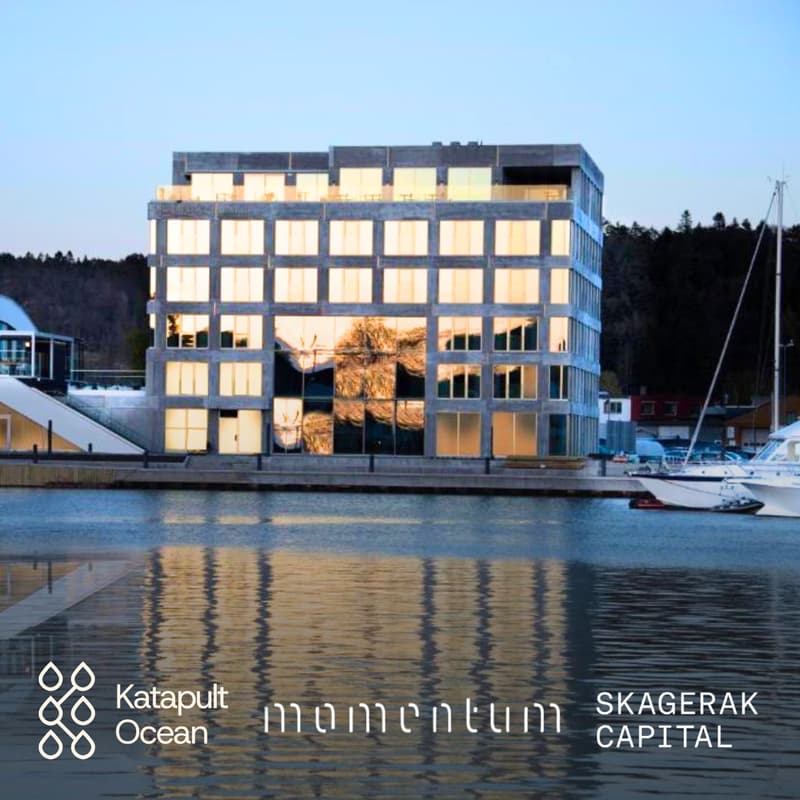 Cover Image for Ocean Drinks