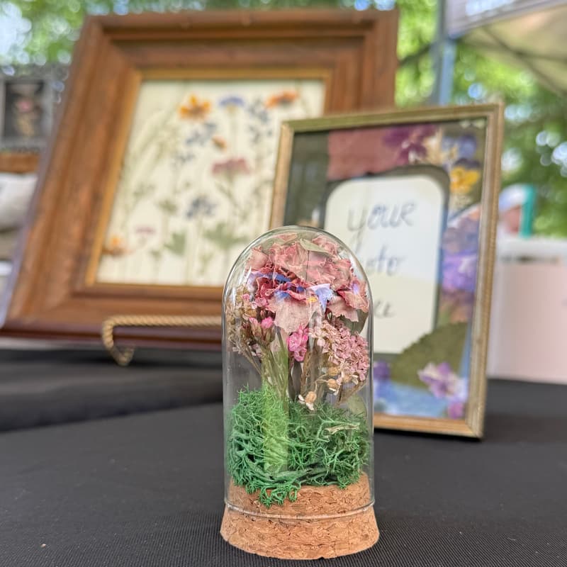 Cover Image for Bloom Bar: Under Glass