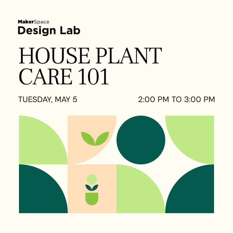 Cover Image for House Plant Care 101