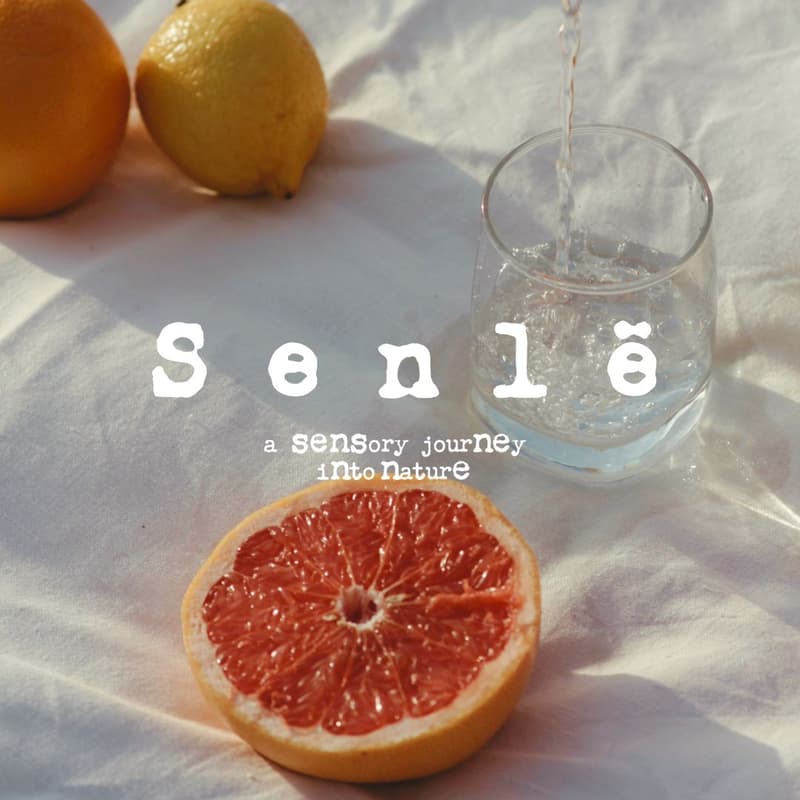 Cover Image for Mini Flower Bouquet Workshop x Summer Scent Launch