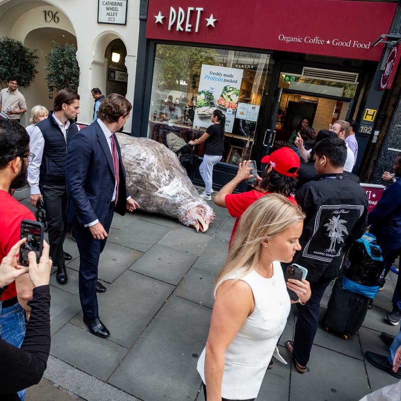 Cover Image for Join Chris Packham outside Pret over frankenchicken